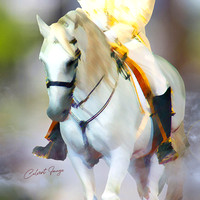 Equestrian Photographic Art
